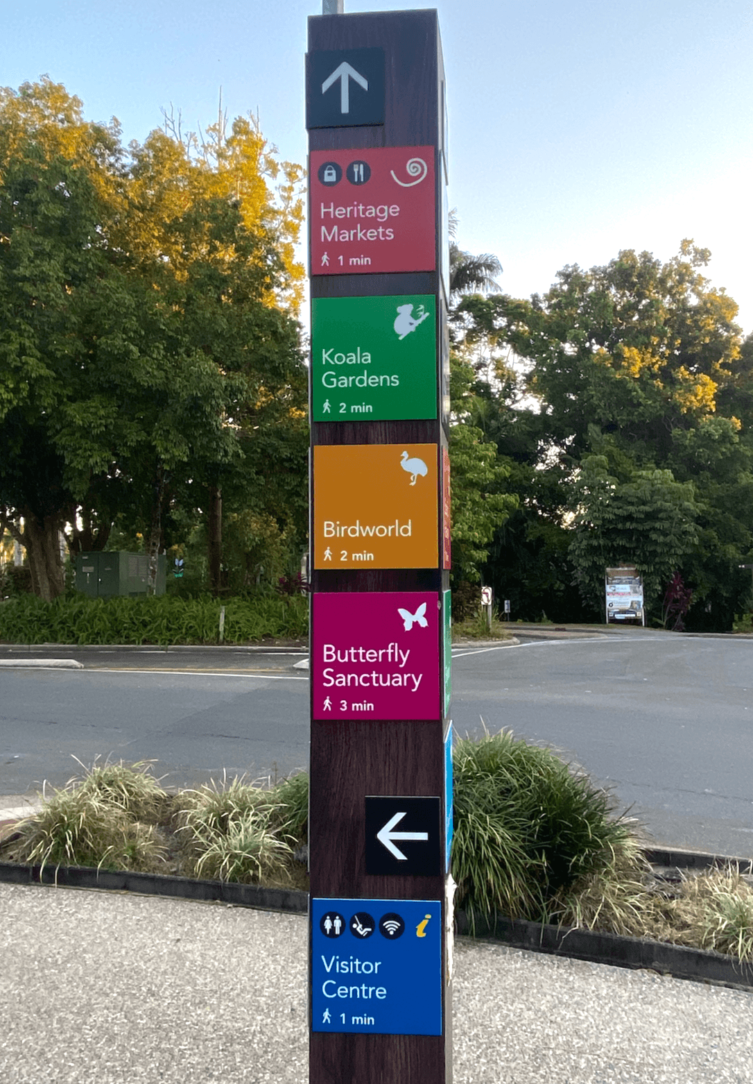 Experience the Magic of Kuranda's Rainforest